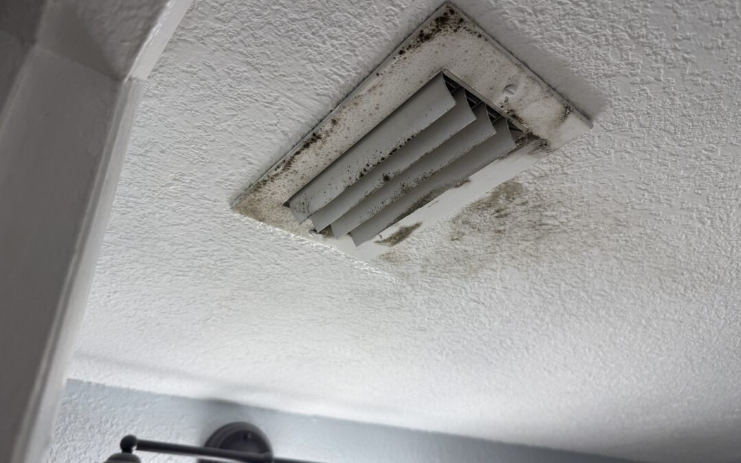 Mold Problem Despite Clear Air Test?