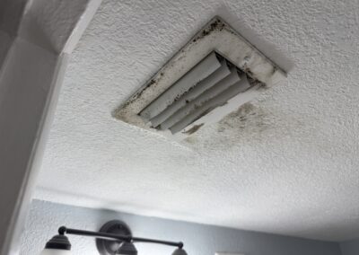 HVAC Mold remediation