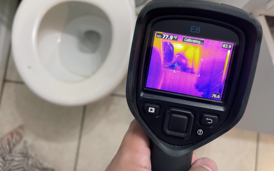 Unsure About a Mold Problem?