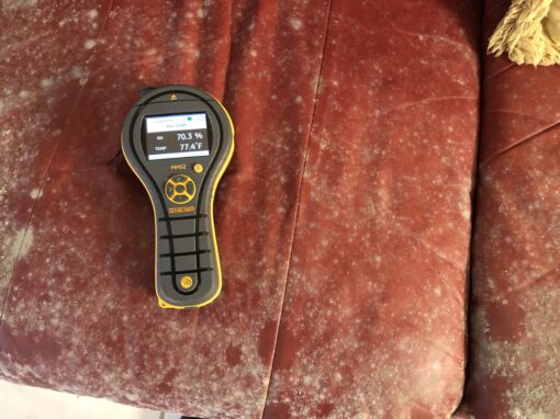 Mold Prevention in Florida Winter | Use a Residential Dehumidifier Mold Prevention in Florida Winter | Use a Residential Dehumidifier