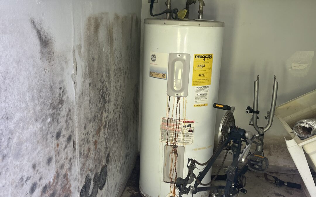 Can I use insurance for mold remediation?