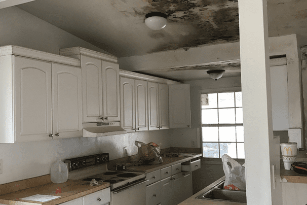 How Long Does Insurance For Mold Claims Take?