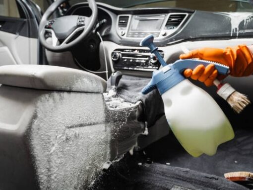 When to Seek Professional Help for Car Mold Remediation When to Seek Professional Help for Car Mold Remediation