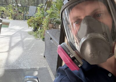 Non-Toxic Mold Remediation