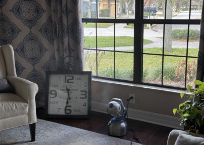 Demolition free Mold Remediation