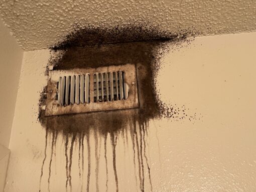 Mold in HVAC Units