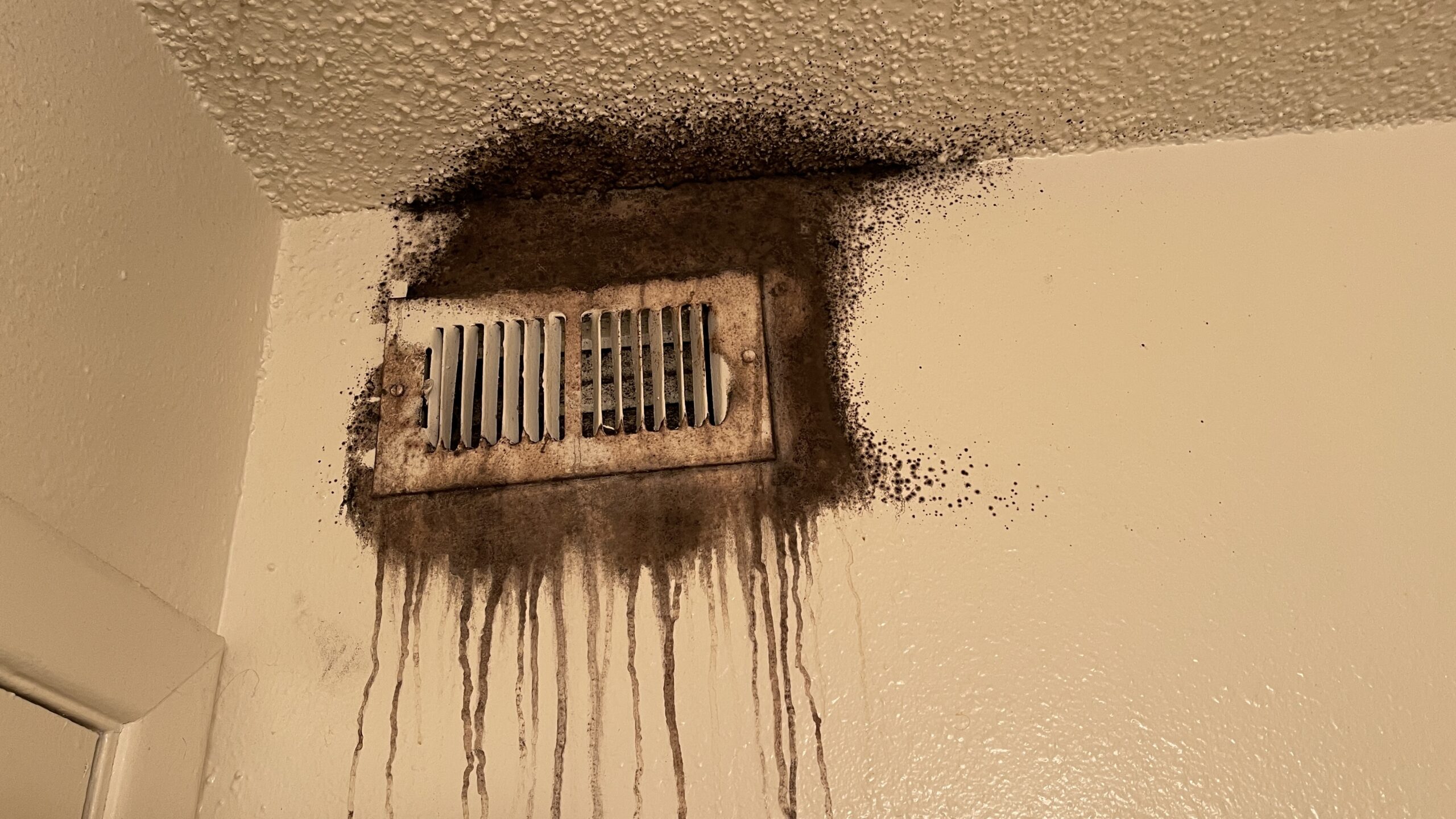 Mold In HAVC System Clearwater FL Mold In HAVC System Clearwater FL