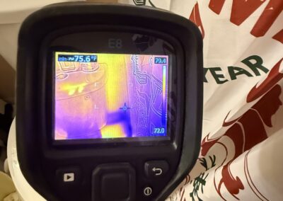 Mold Remediation Tarpon Springs Florida